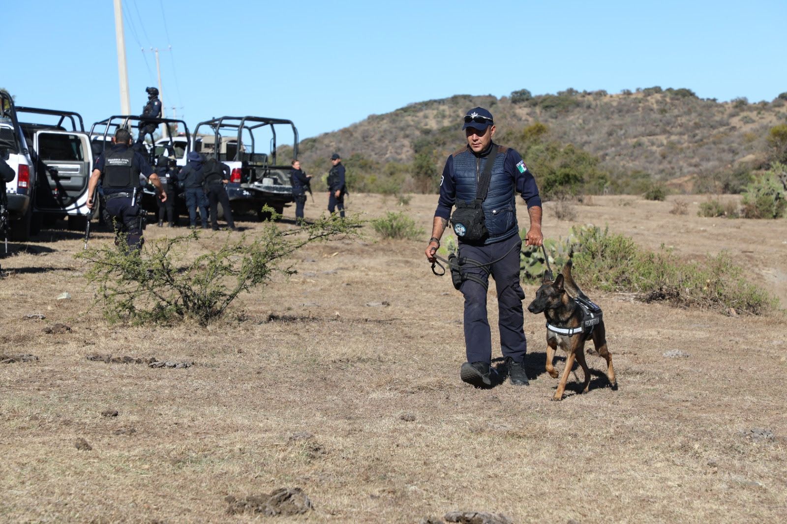MORELIA 18 canes de la Guardia Civil, han brindado 61 apoyos para búsqueda de personas, drogas y combate a la delincuencia (1).jpg