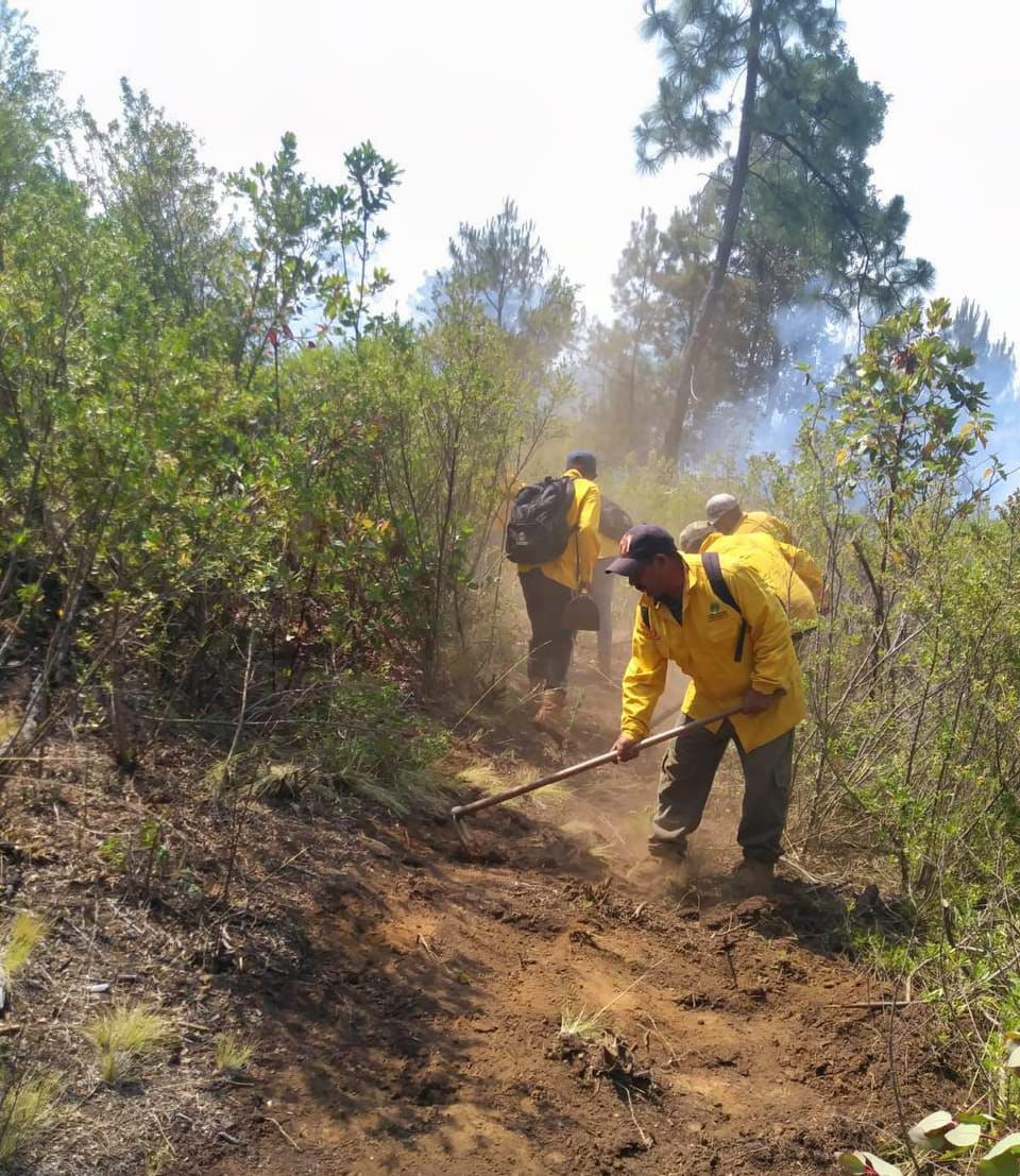 WhatsApp Image 2025-05-14 at 12.50.12.jpeg