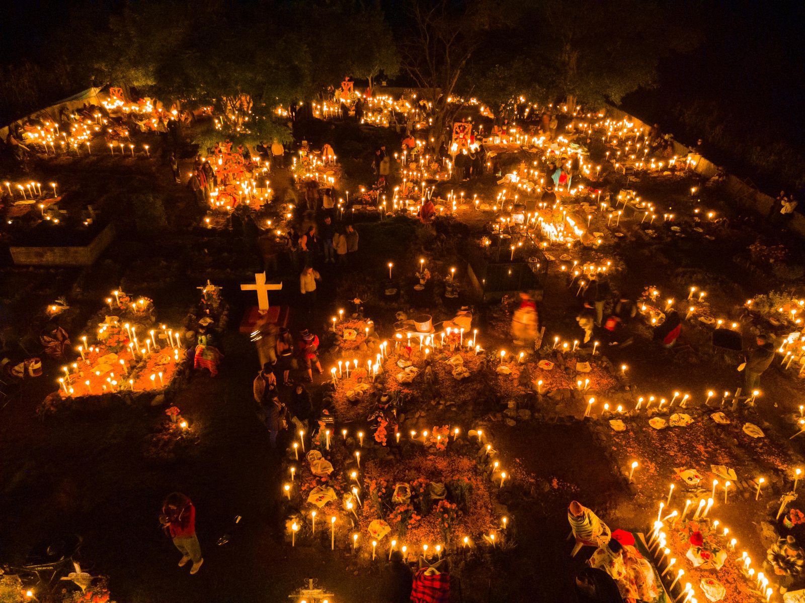 WhatsApp Image 2025-10-27 at 11.31.18.jpeg