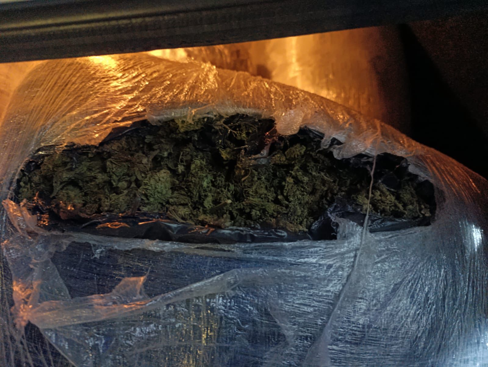 WhatsApp Image 2025-11-12 at 07.52.03.jpeg