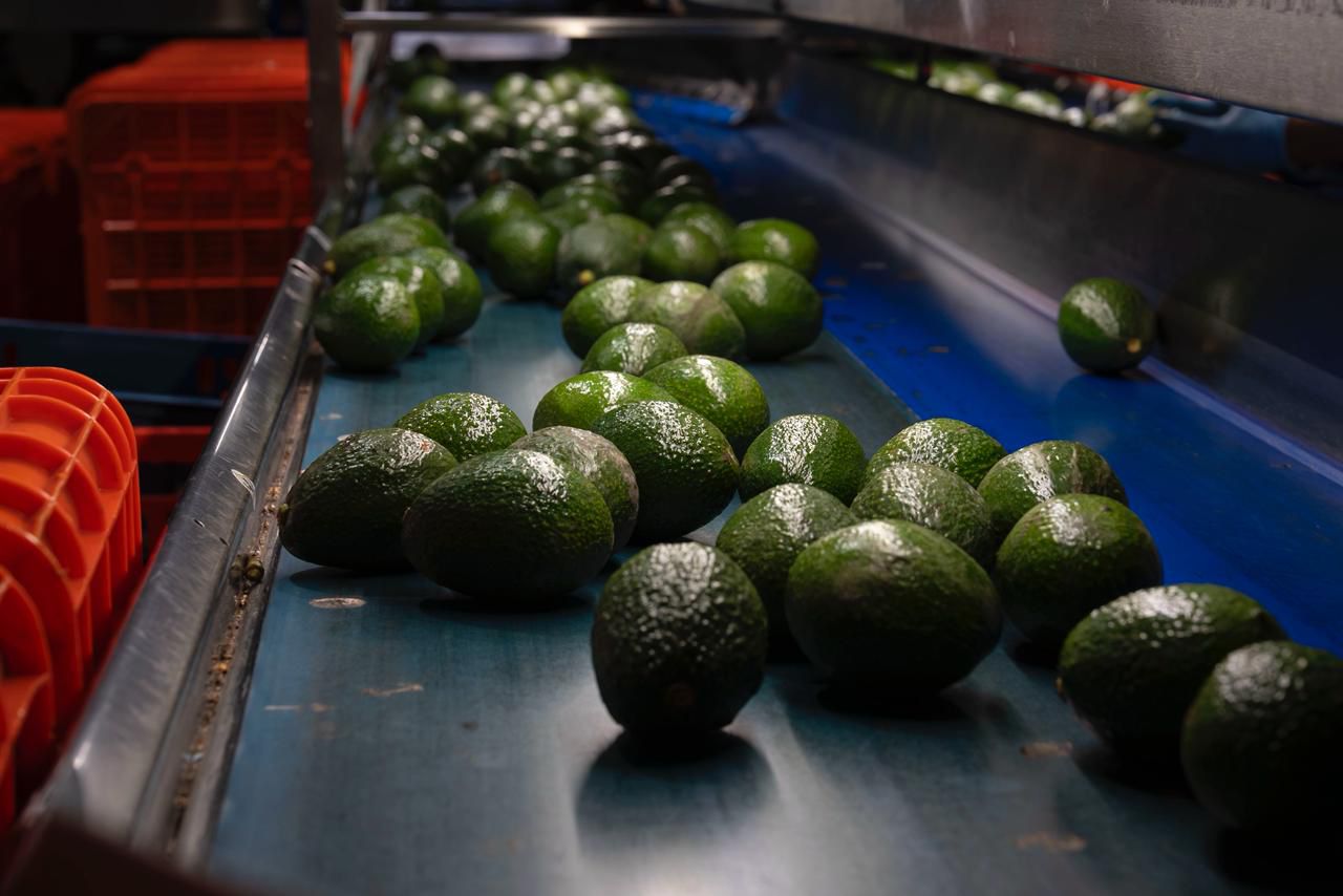 WhatsApp Image 2025-12-11 at 09.26.15.jpeg