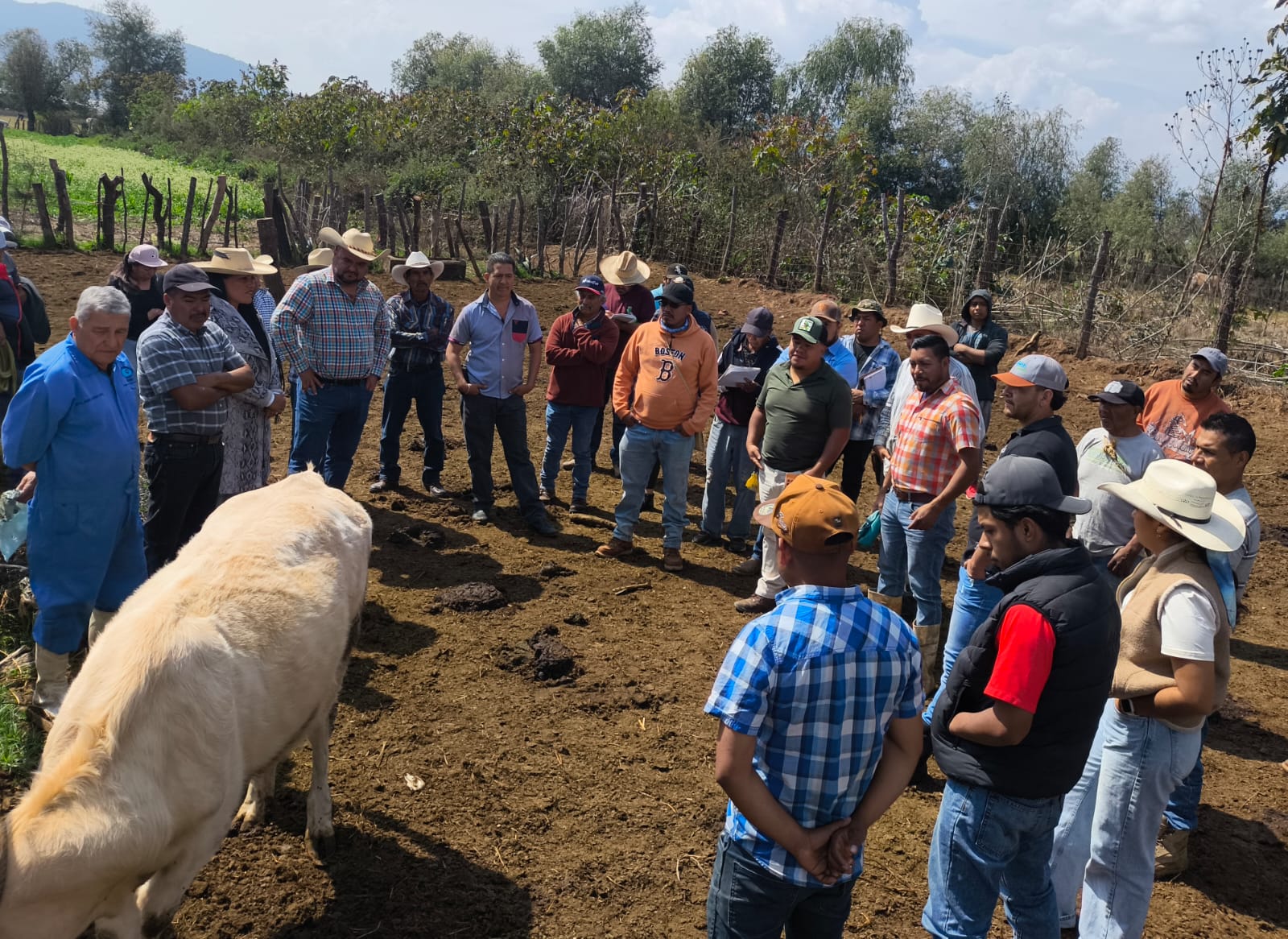 WhatsApp Image 2026-02-12 at 14.10.40.jpeg